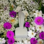 Deniz Yıldızı Küpe