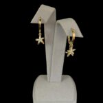 Deniz Yıldızı Küpe - Görsel 2