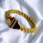 Antalya Burması - Görsel 2