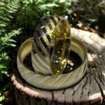 Çapraz Çizgili Alyans