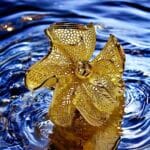 Büyük Çiçekli Yüzük