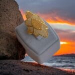 Transparan Mekik Yüzüğü