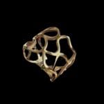 Tel Örmesi Yüzük - Görsel 2