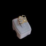 Tel Örmesi Yüzük - Görsel 3