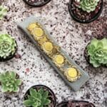 6 Çerçeveli Çeyrek Bileklik