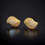 İçi Taştan Dışı Yapraktan - Görsel 2